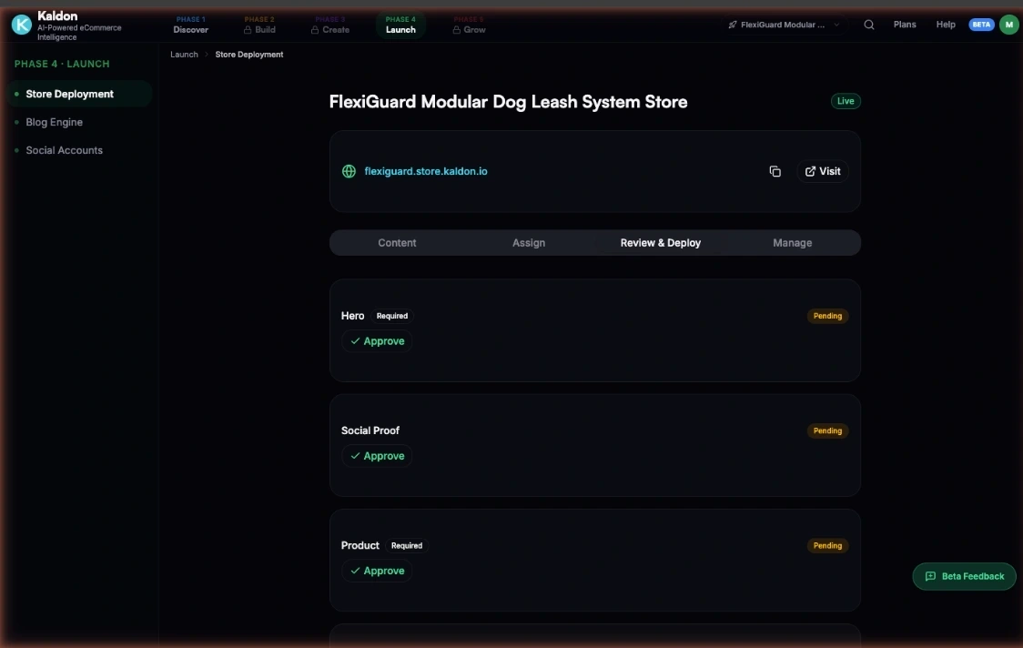 Live store deployment